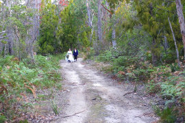 Amy and Kim's wedding at Bruny Island Lodge 2017