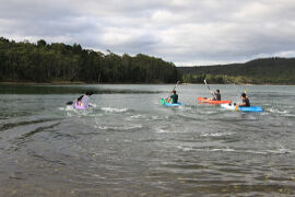 Kayak race