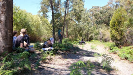 IGS art camp at Bruny Island Lodge 2018