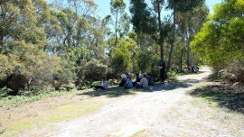 IGS art camp at Bruny Island Lodge 2018