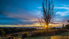 Simpson's point sunset