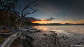 Cloudy Bay Lagoon shore