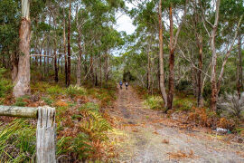 bike riding at Bruny Island Lodge