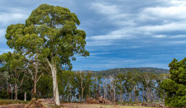 the view from Bruny Island Lodge