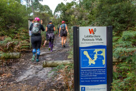 Labillardiere Peninsula Walk